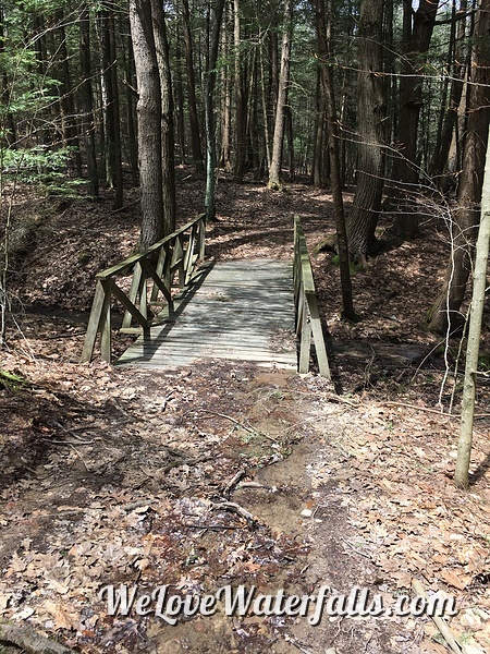 Bridge on the hiking trail