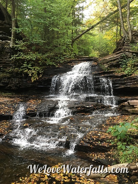 Onondaga Falls in Ricketts Glen State Park