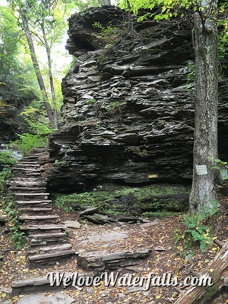 Ricketts Glen Falls Loop Trail