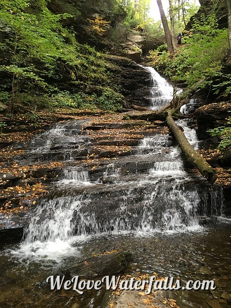 Huron Falls in Ricketts Glen State Park