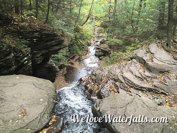 View from the top of Ozone Falls in Ricketts Glen State Park