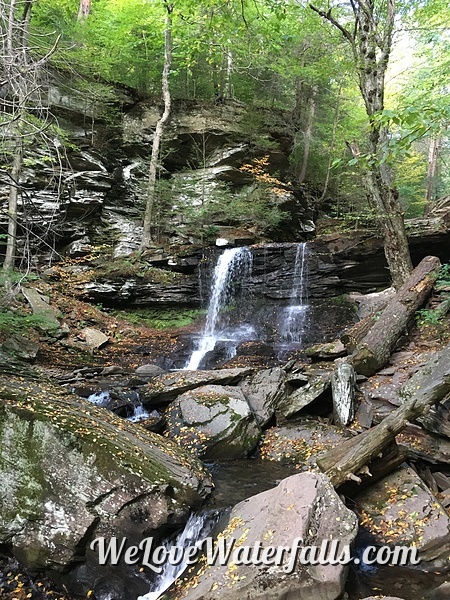 B. Reynolds Falls in Ricketts Glen State Park