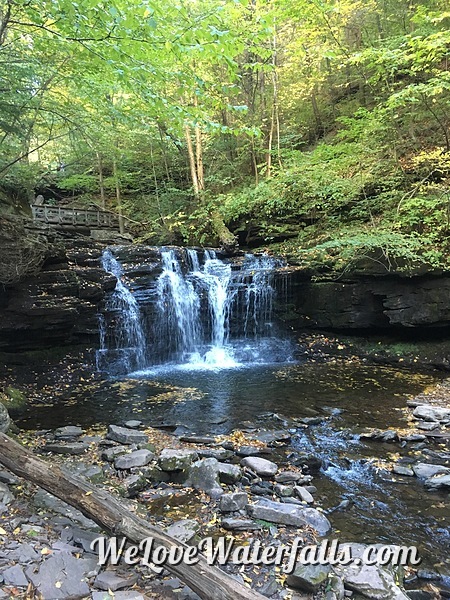 Wyandot Falls in Ricketts Glen State Park