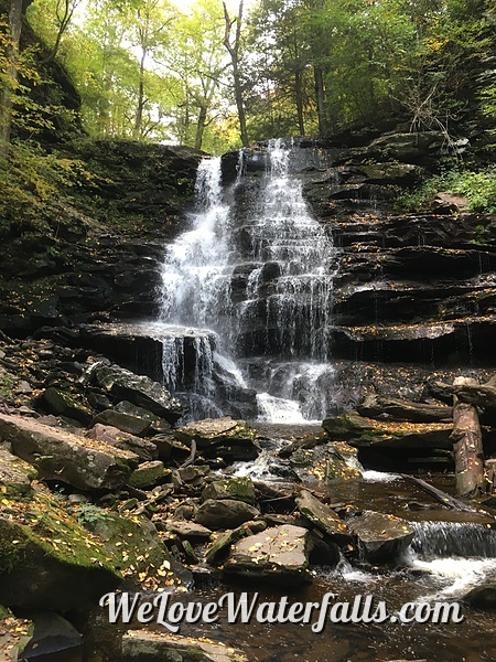 Erie Falls in Ricketts Glen State Park