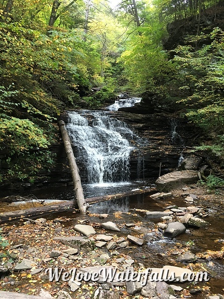 Mohican Falls in RIcketts Glen State Park
