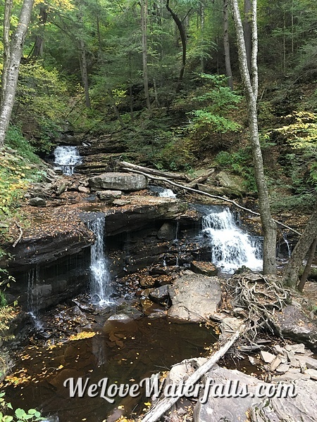 Delaware Falls in Ricketts Glen State Park