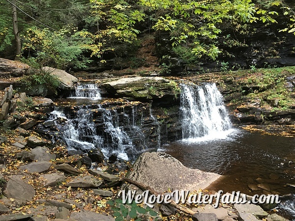 Cayuga Falls in Ricketts Glen State Park