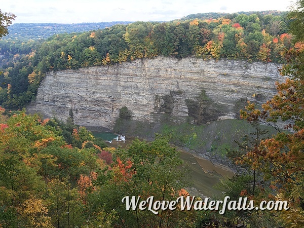 fall foliage and gorge