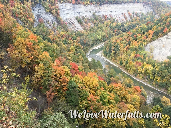 Genesee River and fall foliage