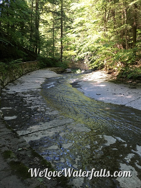 Dry Creek in Fillmore Glen State Park