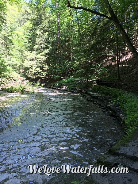 Dry Creek in Fillmore Glen State Park