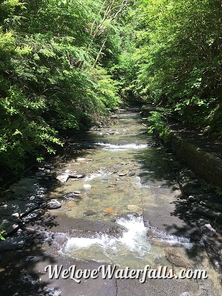 Dry Creek Runs Through Fillmore Glen