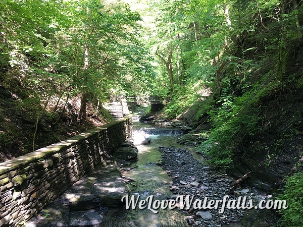 Fillmore Glen State Park Gorge Trail