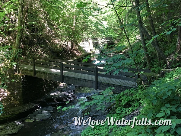 Gorge Trail in Fillmore Glen State Park