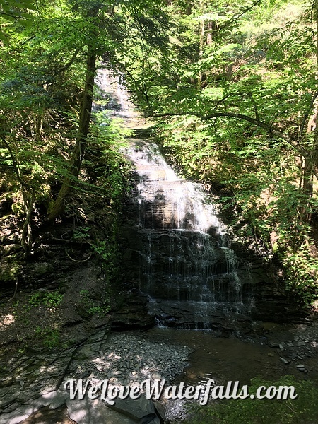 Dalibarda Falls, Fillmore Glen State Park