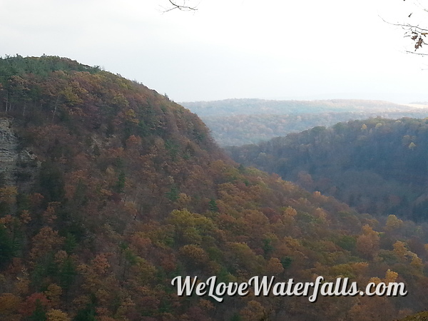 Letchworth State Park Foliage