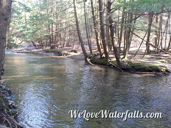 Fall Brook