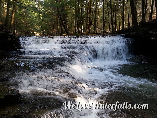 Salt Springs State Park Waterfall